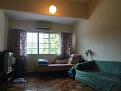 People's Garden (D19), Terrace #117862272
